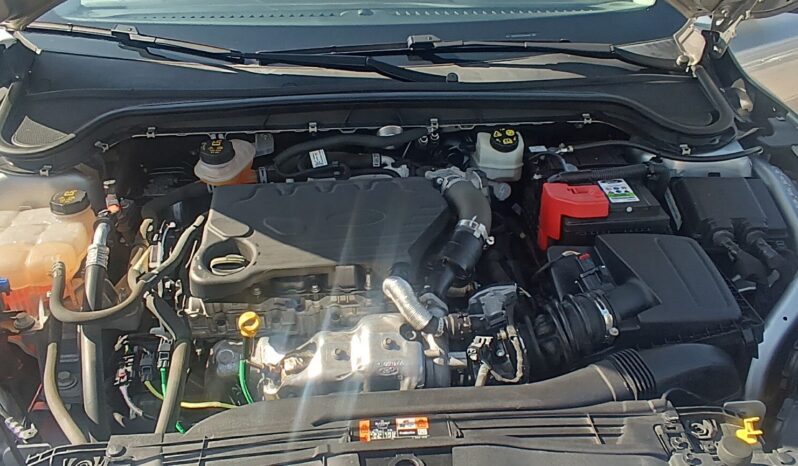 Ford Focus 1.5 EcoBlue 95 CV 5p. Business pieno