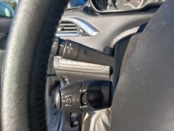 Peugeot 2008 BlueHDi 100 Active pieno