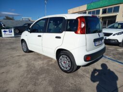Fiat Panda 1.3 MJT 95 CV S&S Easy pieno