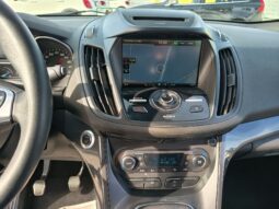 Ford Kuga 2.0 TDCI 120 CV S&S 2WD Titanium pieno