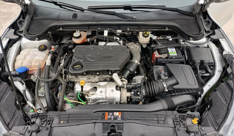 Ford Focus 1.5 TDCi 120 CV Start&Stop SW Business pieno