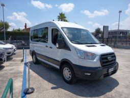 Fiat Ducato 35 2.2 Mjt 140CV PM-TM 9 posti con pedana trasporto disabili