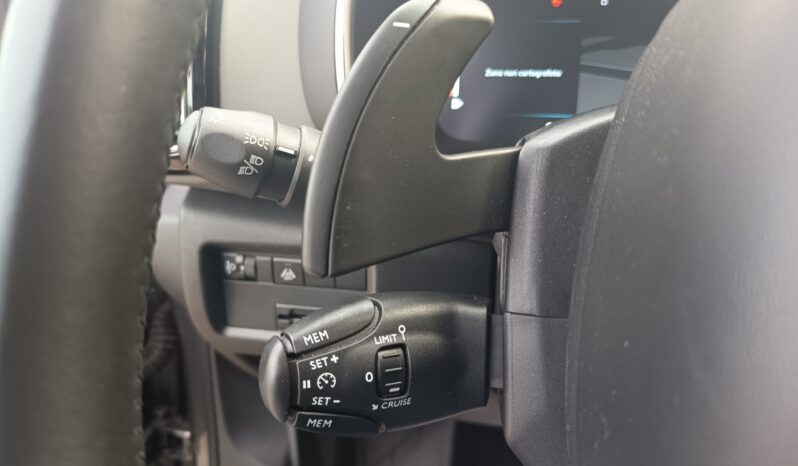 Citroen C5 Aircross BlueHDi 130 S&S EAT8 Business pieno